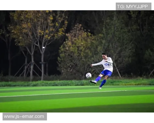 足球射门瞬间的艺术表现与技巧探讨