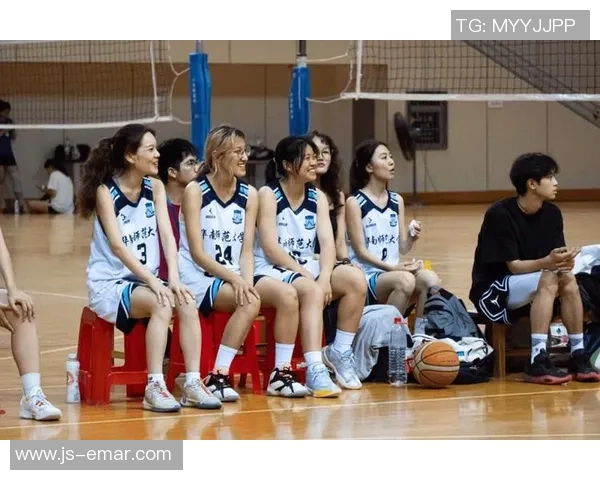 武汉篮球队的团队协作与战术配合深度分析与探讨