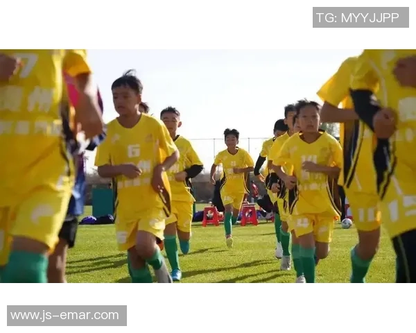 少年足球梦启航在绿茵场上追逐梦想与激情的故事