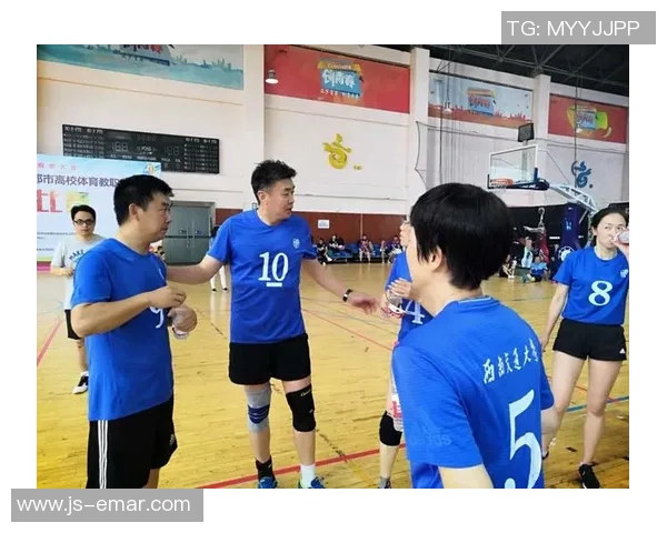 篮球足球排球三项运动总数为49个的趣味探讨与分析