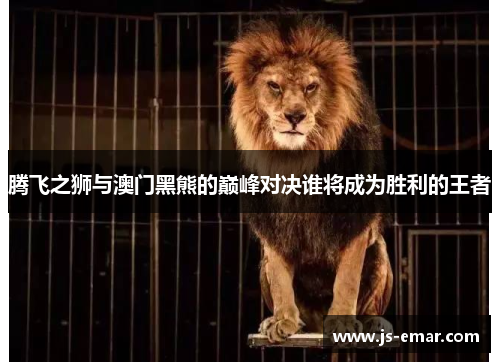 腾飞之狮与澳门黑熊的巅峰对决谁将成为胜利的王者